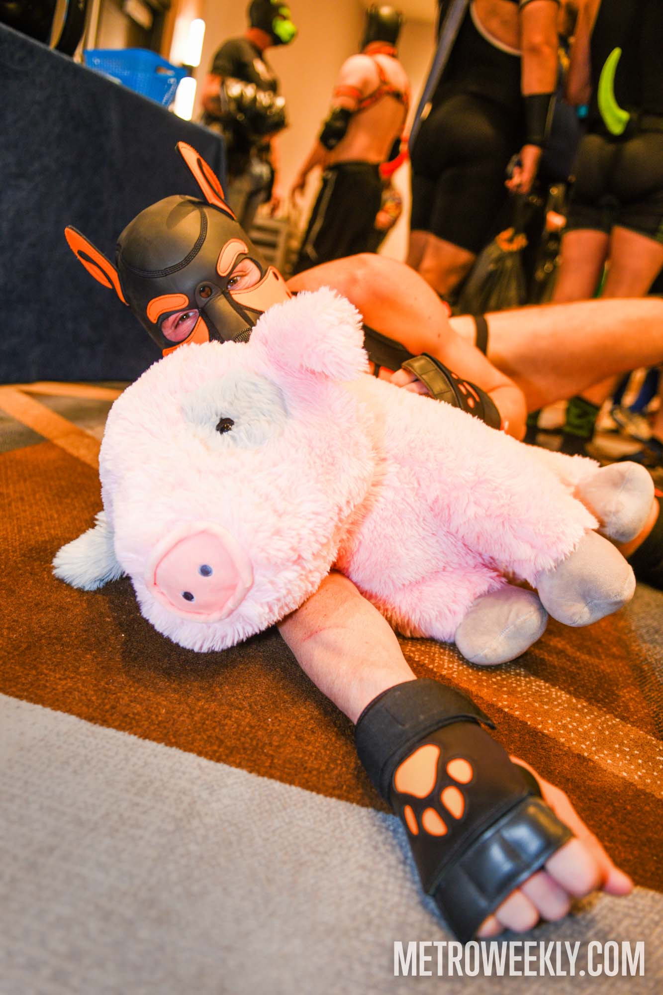 #21 of 168 : 2026-01-23_3027_179237.jpg