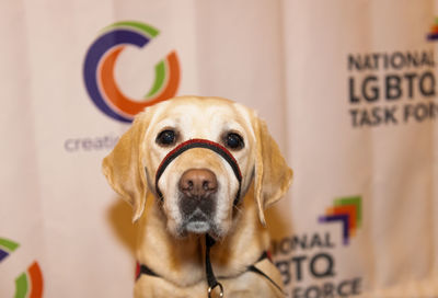 Kierra's Cabaret at The Task Force's Creating Change Conference #14